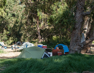 Guide to Camping in Channel Islands National Park on Santa Cruz